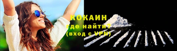 СК Зерноград