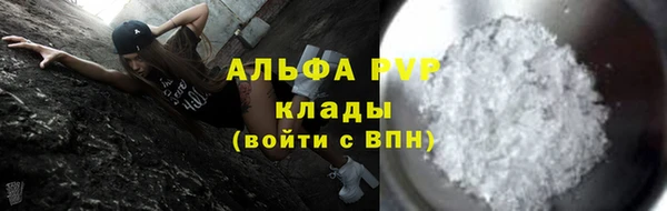 хмурый Зеленокумск
