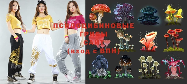 дживик Армянск
